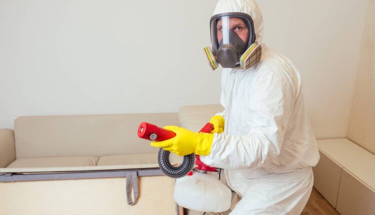 pest control worker in uniform spraying pesticides under couch in living lounge room.