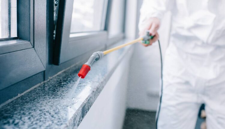 cropped image of pest control worker spraying pesticides on windowsill at home