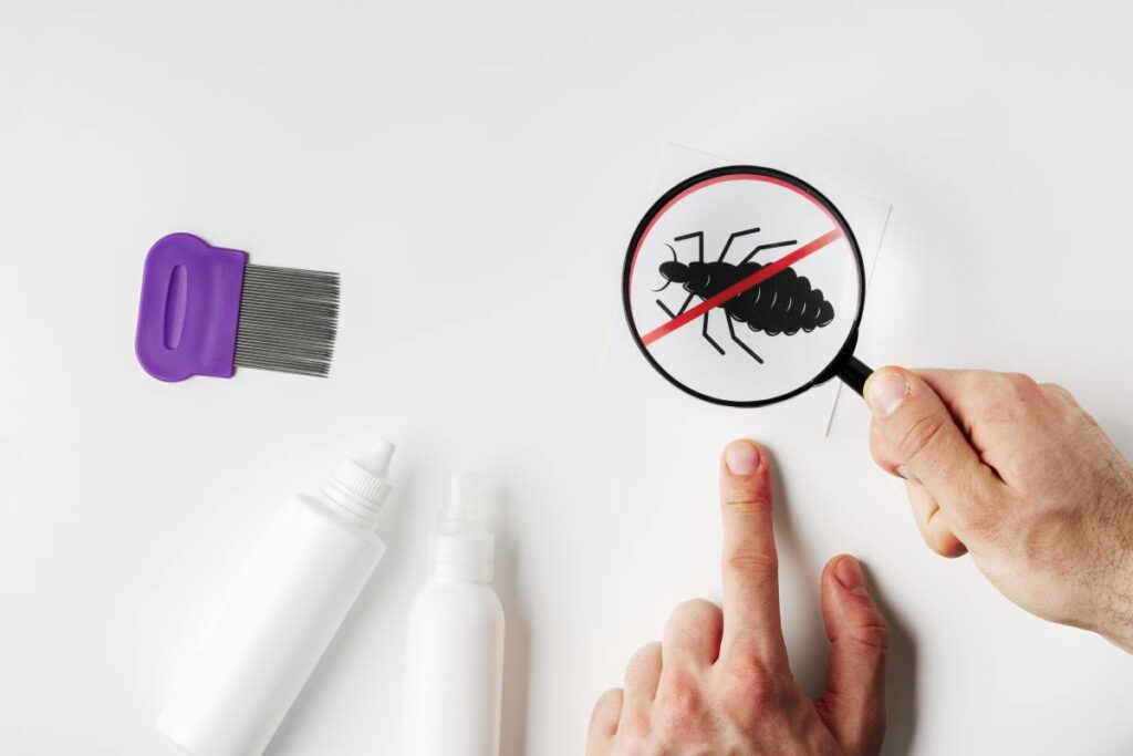 Tools for inspecting and treating lice infestations at home with a magnifying glass and a comb close up